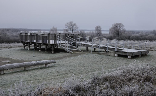 3_Amalviškių apžvalgos platforma.jpg